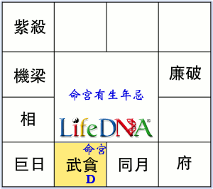 殺破狼5