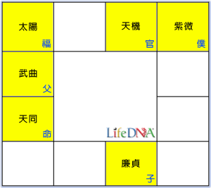 天同星命盤圖