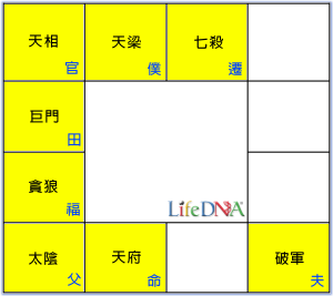 天府星命盤圖