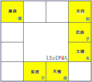 天機星命盤圖