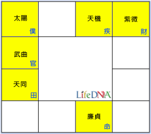 廉貞星命盤圖