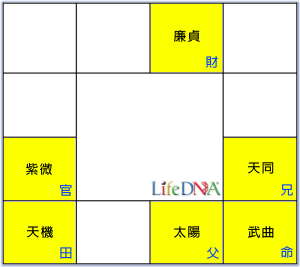 武曲星命盤圖