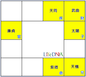 紫微星命盤圖