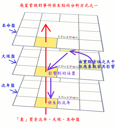 向上取象、向下應數