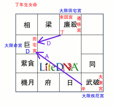 飛星紫微分析命例